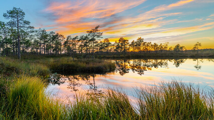 reflection of clouds in a swamp lake