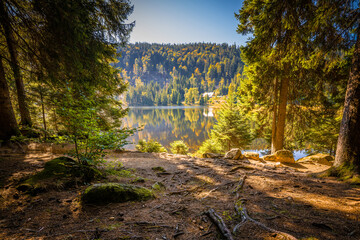 Rundweg Wanderweg um den See Kleiner Arber See im Herbst, Bayern, Deutschland