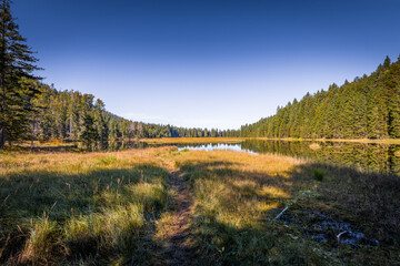 Rundweg Wanderweg um den See Kleiner Arber See im Herbst, Bayern, Deutschland