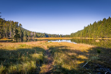 Rundweg Wanderweg um den See Kleiner Arber See im Herbst, Bayern, Deutschland
