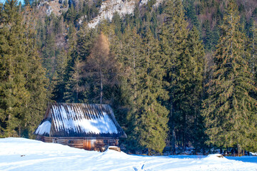 mountain houses in Zakopane