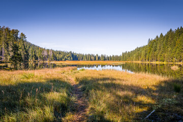 Rundweg Wanderweg um den See Kleiner Arber See im Herbst, Bayern, Deutschland
