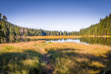 Rundweg Wanderweg um den See Kleiner Arber See im Herbst, Bayern, Deutschland