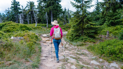 Woman hiker in sun hat with backpack and trekking poles walking along a rocky forest trail, rear...