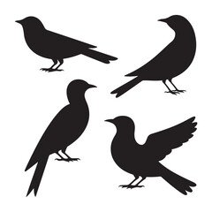 Obraz premium set of silhouettes of birds