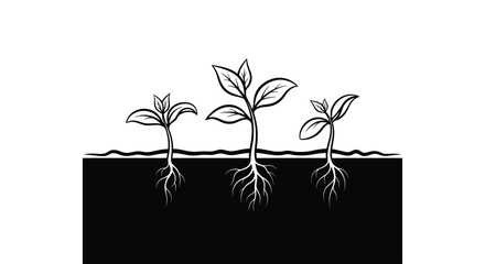 Seedlings with roots growing in dark soil under a white background, symbolizing growth and new beginnings.