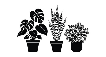 Three stylized potted houseplants are silhouetted against a white background, showcasing their distinct foliage and forms.