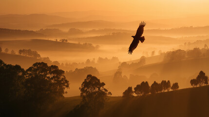 朝霧を翔ける自由の翼