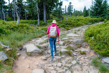 Woman hiker in sun hat with backpack and trekking poles walking along a rocky forest path, rear...