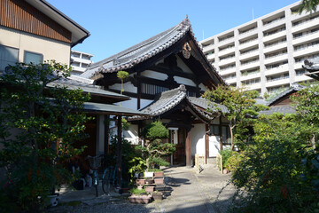Fototapeta premium 善導寺 庫裏 京都市中京区