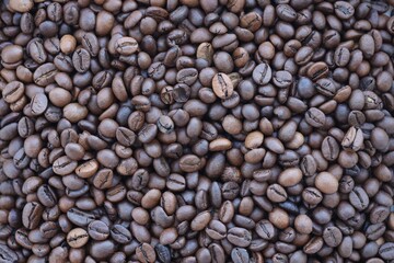 Coffee texture roasted beans from above soft light. Big amount of coffee beans
