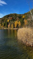 autumn landscape in the mountains