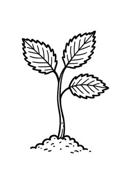 hand drawn cute doodle style elm sapling vector line illustration line isolated on white background