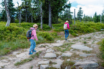 Rear view of a child and an adult hiking together on a rocky forest trail, wearing hats and...