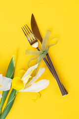 Iris flowers on yellow background