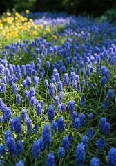 Obraz premium A vibrant, densely packed flowerbed featuring various shades of tranquil blue blossoms under bright natural sunlight in a classic garden setting, outdoor, shade, vibrant