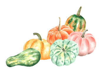 Pumpkins watercolor illustration. Pumpkin harvest. Autumn composition. Farmer, country. Thanksgiving. Fall. Bright. Isolated illustration. For printing on stickers, cards, tableware, fabric, covers