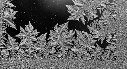  Extreme macro photo of the intricate frost patterns ('fern frost') spreading across a dark window pane.