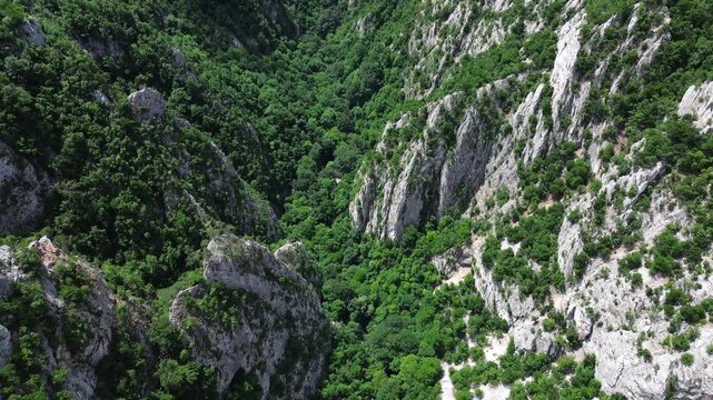 4k aerial drone footage showing the dramatic cliffs and dense forests of Lazar Canyon - Lazarev Kanjon in eastern Serbia, captured on a bright spring day