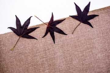Autumn flat lay with dark maple leaves on linen fabric background, natural rustic fall composition