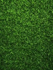 Rich green grass texture, perfect for a realistic and lush lawn background
