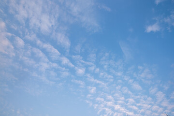 Blue sky dotted with scattered white clouds forming varied textures and patterns, a tranquil, airy daytime cloudscape ideal as a serene natural background for outdoor scenes