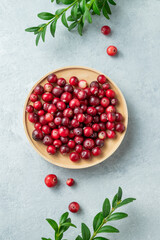Fresh cranberries in a wooden bowl on a light background with green branch.