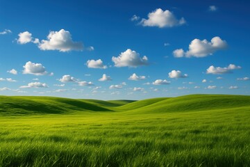 Fototapeta premium Sunny green meadow of rolling hills under blue sky with fluffy clouds nature backdrop