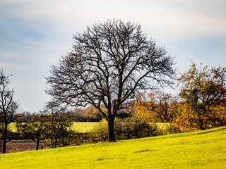 Fototapeta premium Schöne Naturlandschaft im Herbst