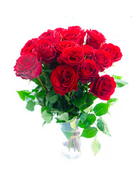 Crimson red rose flowers