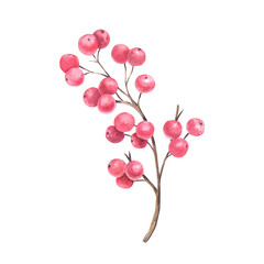 A winter branch with red berries. Hand-painted watercolor illustration. Isolated element on a white background. For Christmas designs, invitational and greeting cards, posters, prints.