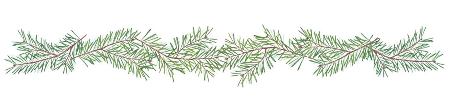 Watercolor horizontal garland of fir branches on white background. Natural evergreen border perfect for Christmas invitations, cards, winter decorations, and packaging.