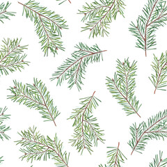 Seamless watercolor pattern with pine and fir branches on white background. Hand-painted botanical design for wrapping paper, fabric, stationery, and Christmas decorations.