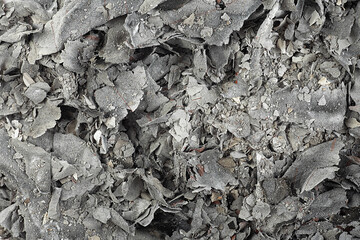 Burnt documents as background, top view. Paper ash. Paper scraps scattered. Cinder.