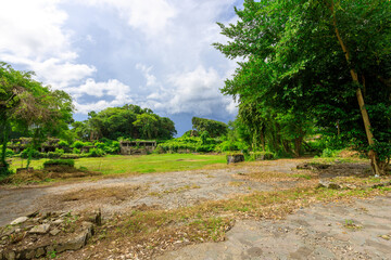 Field with a few trees and a cloudy sky