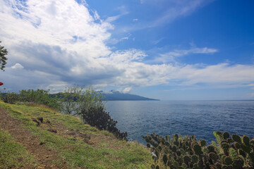 Beautiful view of the ocean with a few trees in the background