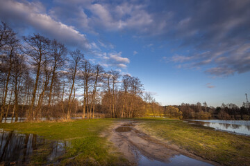 Wet, muddy field with trees in the background