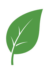 Green leaf icon symbolizing nature ecology and organic products