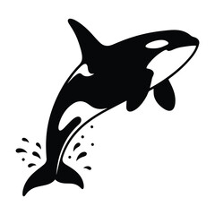 Breaching Orca Killer Whale Silhouette Vector © MAHEDI