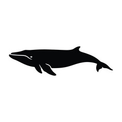 Minke Whale Simple Silhouette Vector