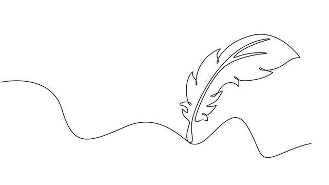 birds feather continuous one line drawing animation, Continuous Line Drawing of Feather Icon. Hand Drawn Symbol Vector Illustration, Hand drawn quill, Self-drawing of continuous drawing of one line