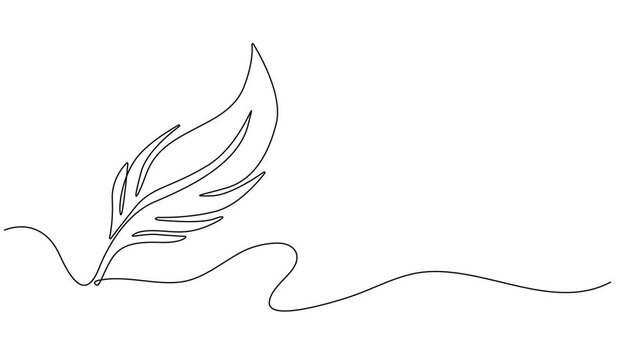 birds feather continuous one line drawing animation, Continuous Line Drawing of Feather Icon. Hand Drawn Symbol Vector Illustration, Hand drawn quill, Self-drawing of continuous drawing of one line