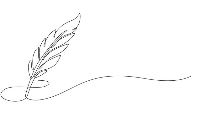 birds feather continuous one line drawing animation, Continuous Line Drawing of Feather Icon. Hand Drawn Symbol Vector Illustration, Hand drawn quill, Self-drawing of continuous drawing of one line