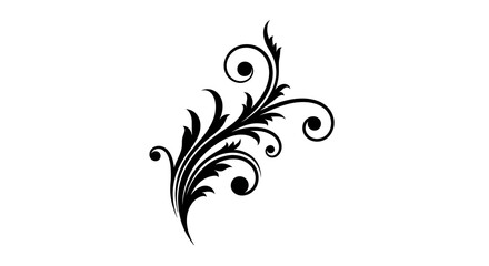Fototapeta premium Elegant flourish design isolated on white background for decoration use