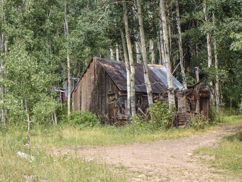 abandoned cabin - Powered by Adobe