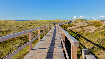 Holzsteg &uuml;ber die D&uuml;nen auf Sylt
