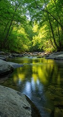 Obraz premium A tranquil river meanders through a vibrant, sun-dappled forest, reflecting verdant foliage and clear sky. Gentle water flows over smooth stones ,forest ,natural ,lush