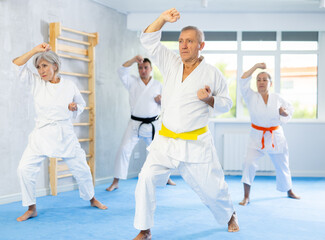 In gym, karate class senior students independently perform basic movements and repeat to hold pose, learning technique of kata. Oriental martial arts, training and obtaining black belt