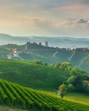 Barbaresco Tower and Langhe Vineyards at Sunset, Piedmont, Italy