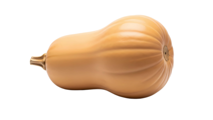 A single fresh whole ripe butternut squash, a popular type of winter squash, isolated on a transparent background